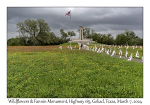 2024-03-07#2093 Wildflowrs & Fannin Monument, Hwy 183, Goliad, Texas