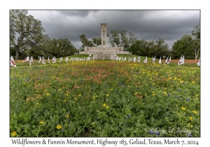 2024-03-07#2097 Wildflowers & Fannin Monument, Hwy 183, Goliad, Texas