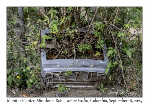 Monitor Planter