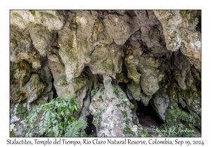 Stalactites