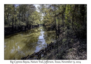 Big Cypress Bayou