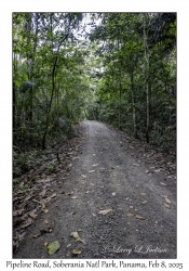 Pipeline Road