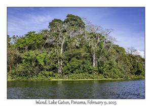 Island