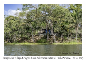 Indigenous Village