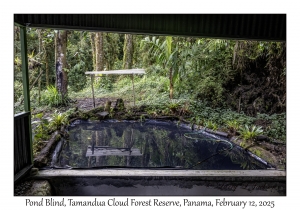 Pond Blind
