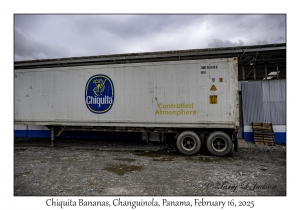 Chiquita Bananas