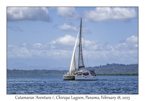 Catamaran 'Aventura 1'