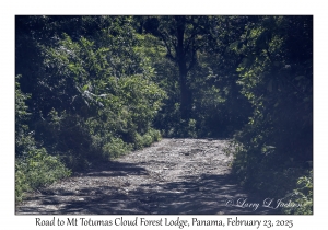 Road to Mt Totumas Cloud Forest Lodge