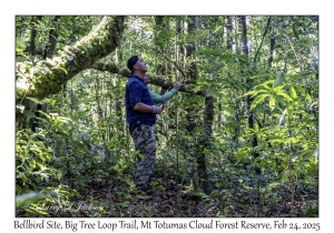 Bellbird Site
