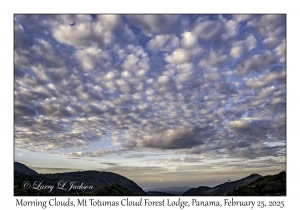 Morning Clouds