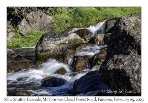 Slow Shutter Cascade