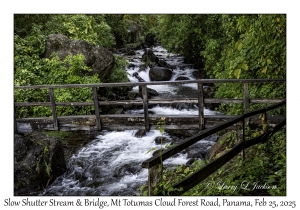 Slow Shutter Stream & Bridge