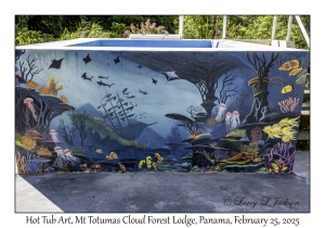 Hot Tub Art