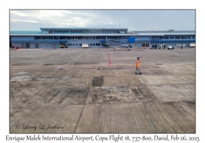 Enrique Malek International Airport