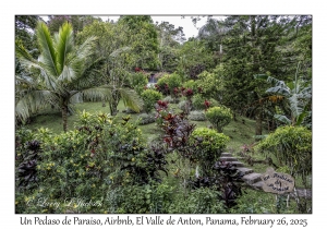 Un Pedaso de Paraiso