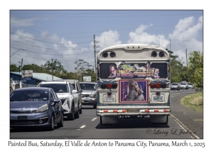 Painted Bus