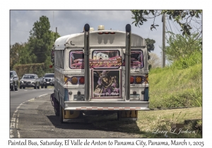 Painted Bus