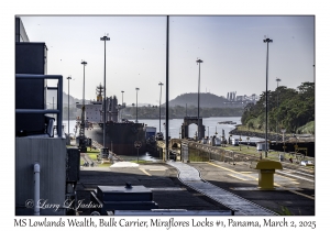 MS Lowlands Wealth
