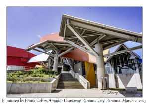 Biomuseo by Frank Gehry