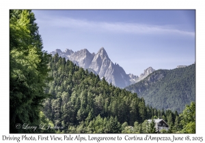 First View, Pale Alps