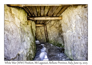 White War (WW1) Position