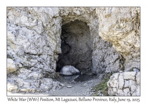 White War (WW1) Position