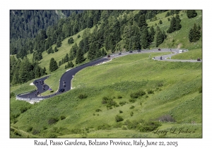 2025-06-22#7133 Road, Passo Gardena, Bolzano Province, Italy