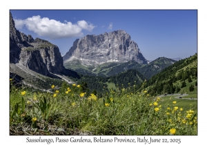 2025-06-22#7154 Sassolungo, 10,436 feet, Passo Gardena, Bolzano Province, Italy