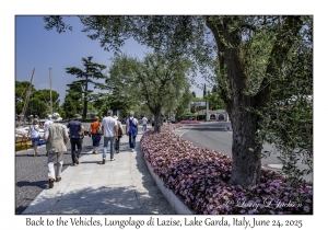 Back to the Vehicles