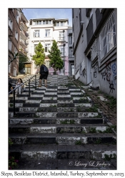 Side Street Steps