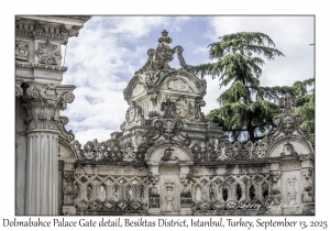 Dolmabahce Palace Gate Detail