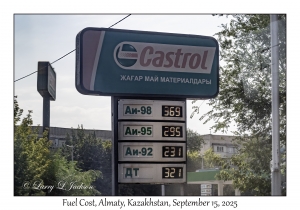 Fuel Cost