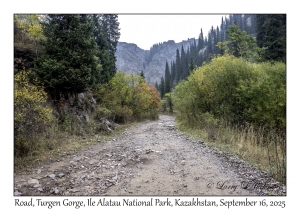 2025-09-16#8963 Road, Turgen Gorge, Ile Alatau NP, Kazakhstan