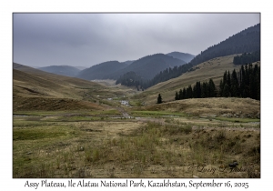 2025-09-16#8972 Assy Plateau, Ile Alatau NP, Kazakhstan