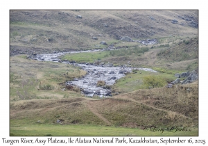 2025-09-16#8978 Turgen River, Assy Plateau, Ile Alatau NP, Kazakhstan