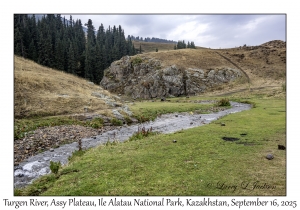 2025-09-16#8985 Turgen River, Assy Plateau, Ile Alatau NP, Kazakhstan
