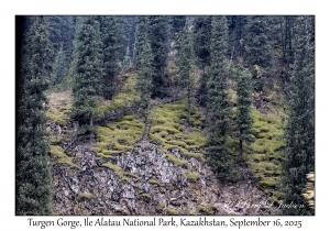 Turgen Gorge