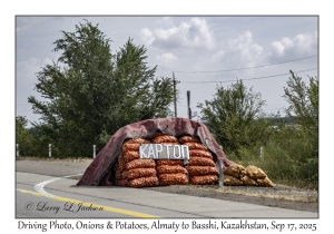 Driving Photo, Onions & Potatoes
