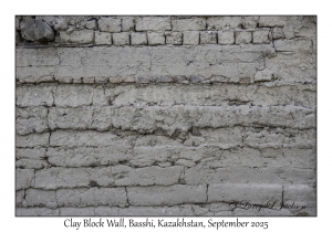 Clay Block Wall