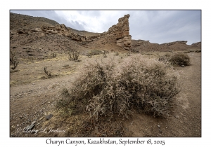 2025-09-18#4839 Charyn Canyon, Kazakhstan