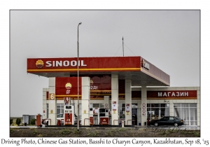 Chinese Gas Station