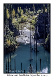 2025-09-19#9723 Kaindy Lake, Kazakhstan