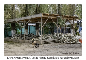 2025-09-19#9811 Driving Photo, Produce, Saty to Almaty, Kazakhstan