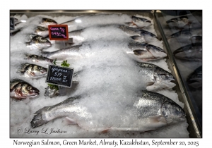 2025-09-20#9892 Norwegian Salmon, Green Market, Almaty, Kazakhstan