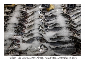 2025-09-20#9894 Turkish Fish, Green Market, Almaty, Kazakhstan