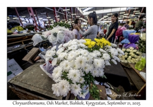 Chrysanthemums