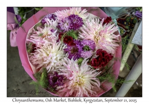 Chrysanthemums