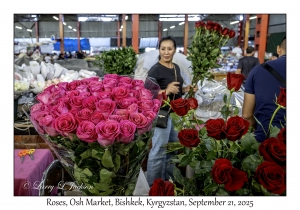 Roses