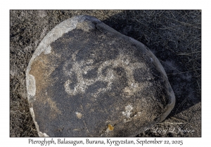 Petroglyph
