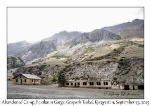 Abandoned Camp
